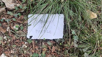 PAROLA PER PAROLA (12)